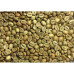 Робуста Индия Черри (Robusta India Cherry ) 1кг. ЗЕЛЕНЫЙ, 168-65212