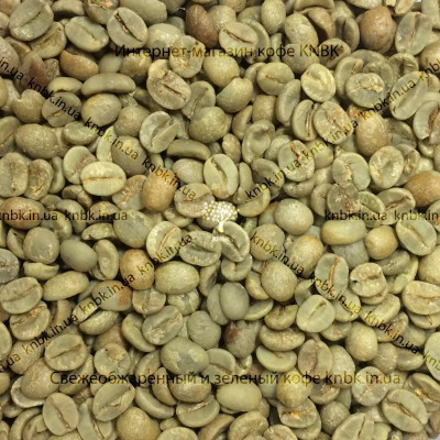 Арабика Бразилия Сантос (Arabica Brazil Santos) 200г. ЗЕЛЕНЫЙ кофе, 168-65223