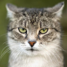 Набір Дріпневий тиждень, дріп кава 7 шт, 168-65288