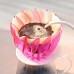 Ребро для Hario V60 Suiren Dripper Ribs 1 шт. Pink, 176-66192