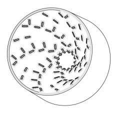 Пуровер Graycano Coffee Dripper + Sleeve Green Forest, 176-66508