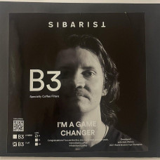 Фільтр SIBARIST B3 HYBRID FLAT M 25 шт., 171-65588