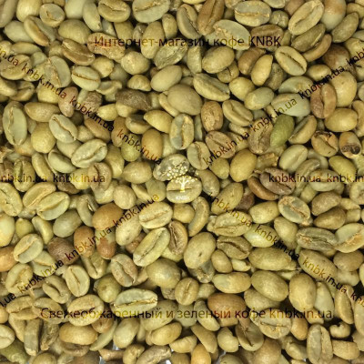Арабика Эфиопия Джимма (Arabica Ethiopia Djimmah) 500г. ЗЕЛЕНЫЙ кофе, 168-65653