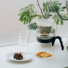 Пуровер Hario Pegasus 02 Coffee Dripper, 176-65991