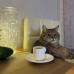 Порошок для чистки групп Dusty Caff 900 г. от кофейных масел, 177-66023